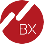 bx300